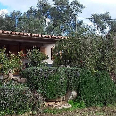 Villa casa-lesia Porto Vecchio Exterior foto